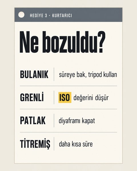 Kurtarıcı: bulanık, gren, patlak, titremiş